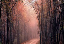 mk体育官网:国际乒联第51周排名:王楚钦孙颖莎继续霸榜男女单打世界第一新华社微博.