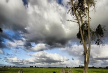 官方:中足联征集2025赛季U17联赛、U15联赛承办赛区.