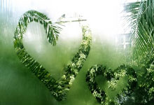 第四届海峡两岸暨港澳地区(重庆)青年羽毛球邀请赛在重庆开赛中国新闻网.