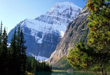 mk体育官网:谷爱凌社媒:第一次伤后跑步,一步一步的恢复中.