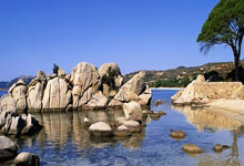 [图]约基奇35+18+8亚历山大25+7 掘金终结雷霆7连胜.